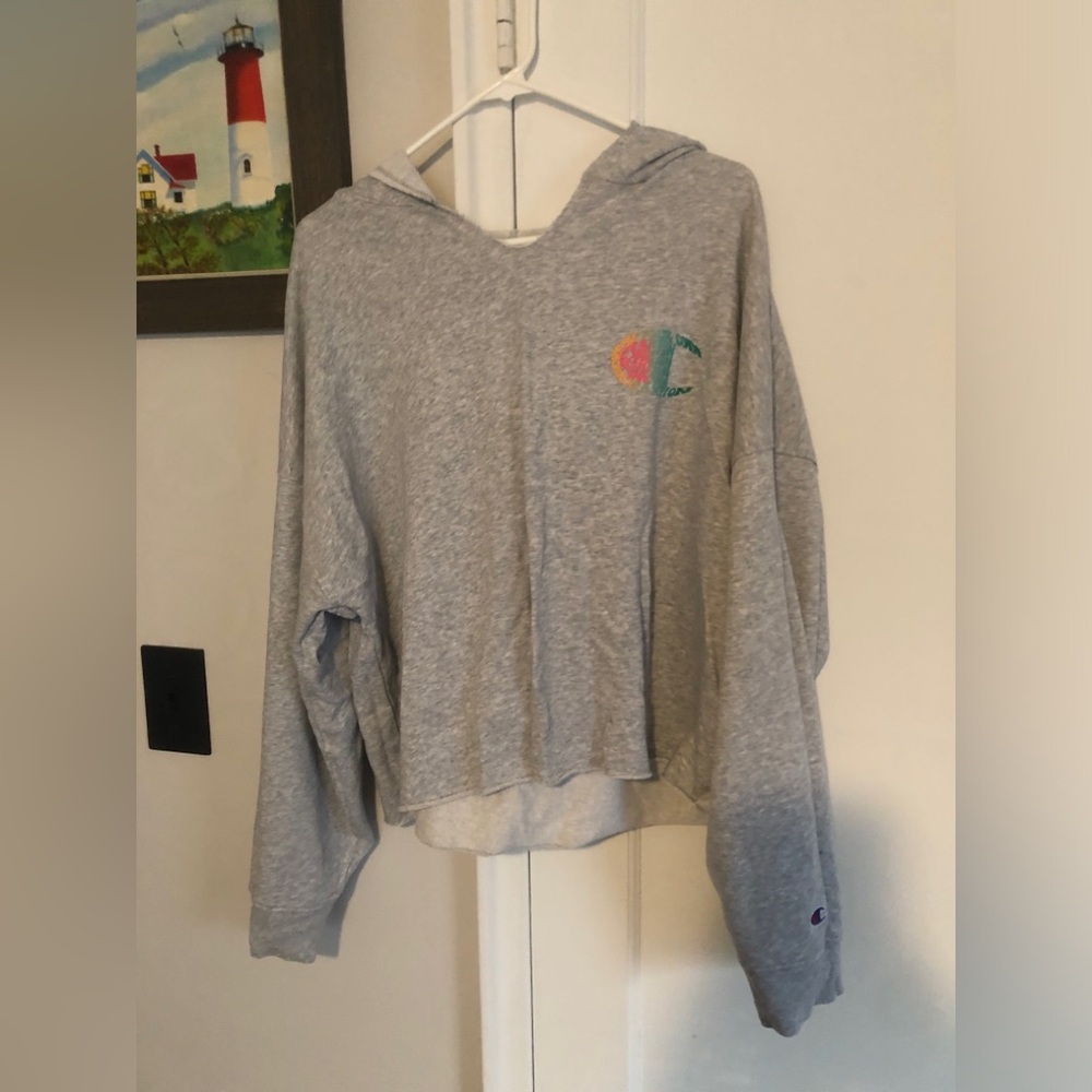 Champion Heather Gray Women's Hoodie